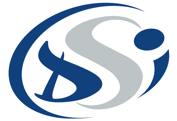 Logo DSI
